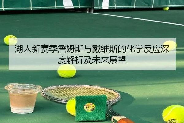 湖人新赛季詹姆斯与戴维斯的化学反应深度解析及未来展望